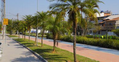 Ciclovia de 6 km ligará Aldeia e Alphaville, em Barueri