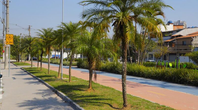 Ciclovia de 6 km ligará Aldeia e Alphaville, em Barueri