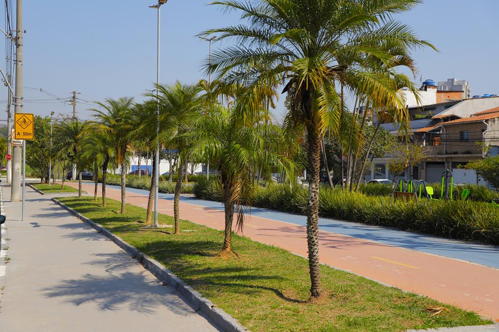 Ciclovia de 6 km ligará Aldeia e Alphaville, em Barueri