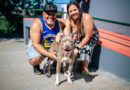 Saúde animal: Parnaíba oferta consultas gratuitas em clínicas credenciadas