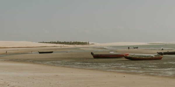 Jericoacoara: veja 7 experiências para explorar o destino