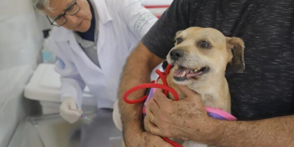 Julho Dourado reforça a importância da vacinação antirrábica
