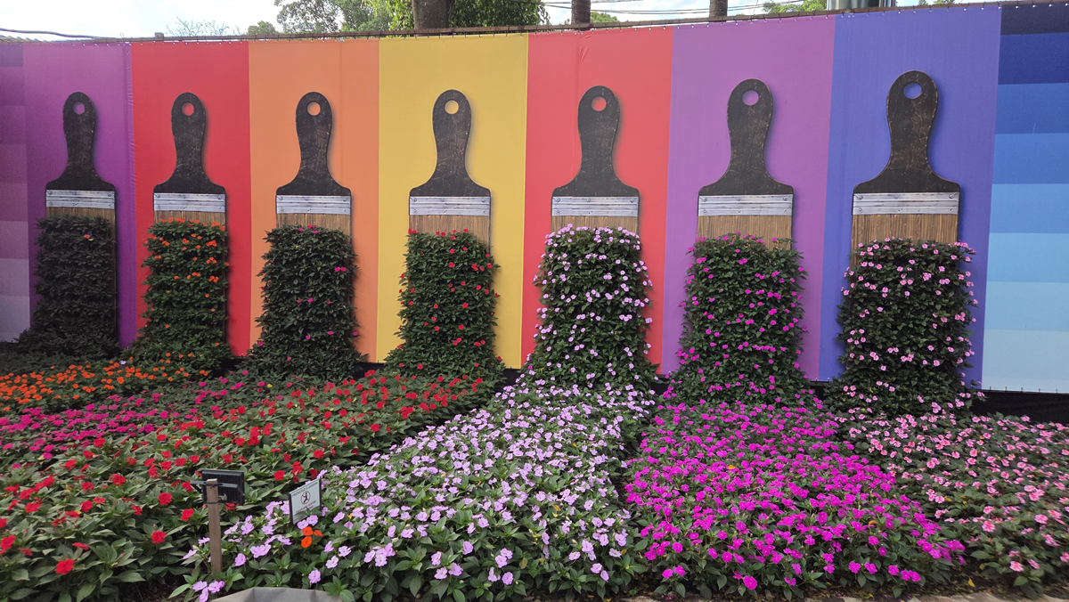 43ª Expoflora: veja detalhes da festa holandesa das flores em Holambra