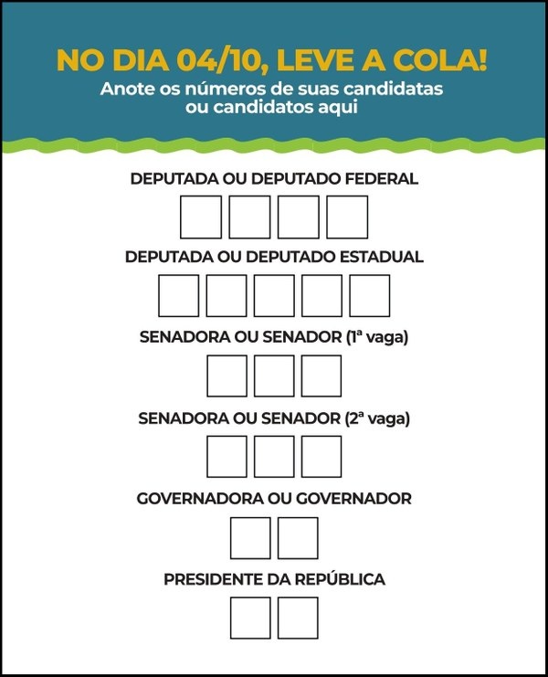 Eleições 2026: confira a ordem dos 6 votos na urna