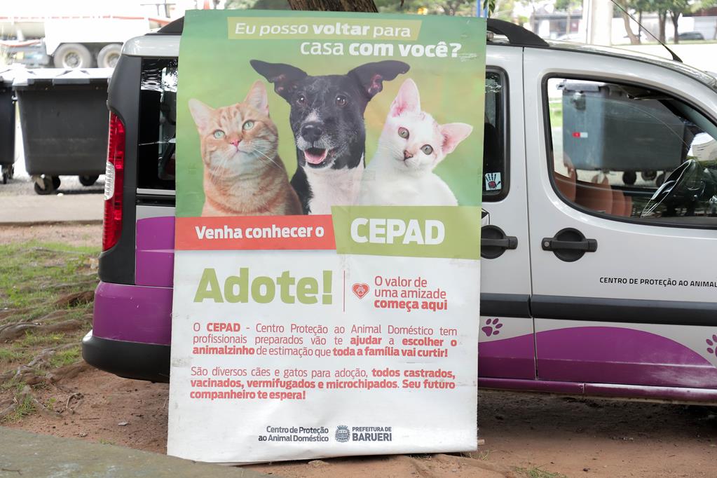 Feiras de adoção de pets de setembro acontecem a partir do dia 2