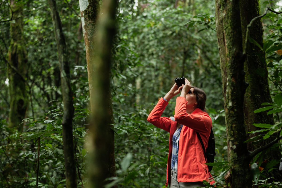 Turismo de natureza: SP reúne trilhas, parques e roteiros de ecoturismo