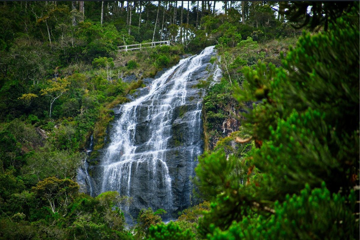 Turismo de natureza: SP reúne trilhas, parques e roteiros de ecoturismo